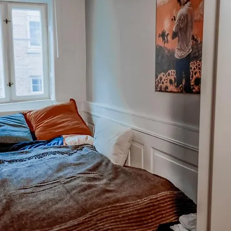 Bright Nordic Flat In Historic Cph *