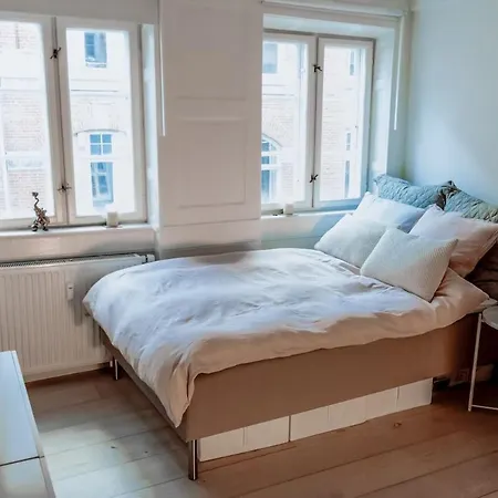 Bright Nordic Flat In Historic Cph *