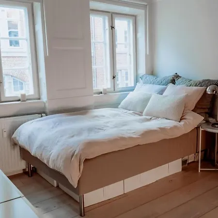 Bright Nordic Flat In Historic Cph *